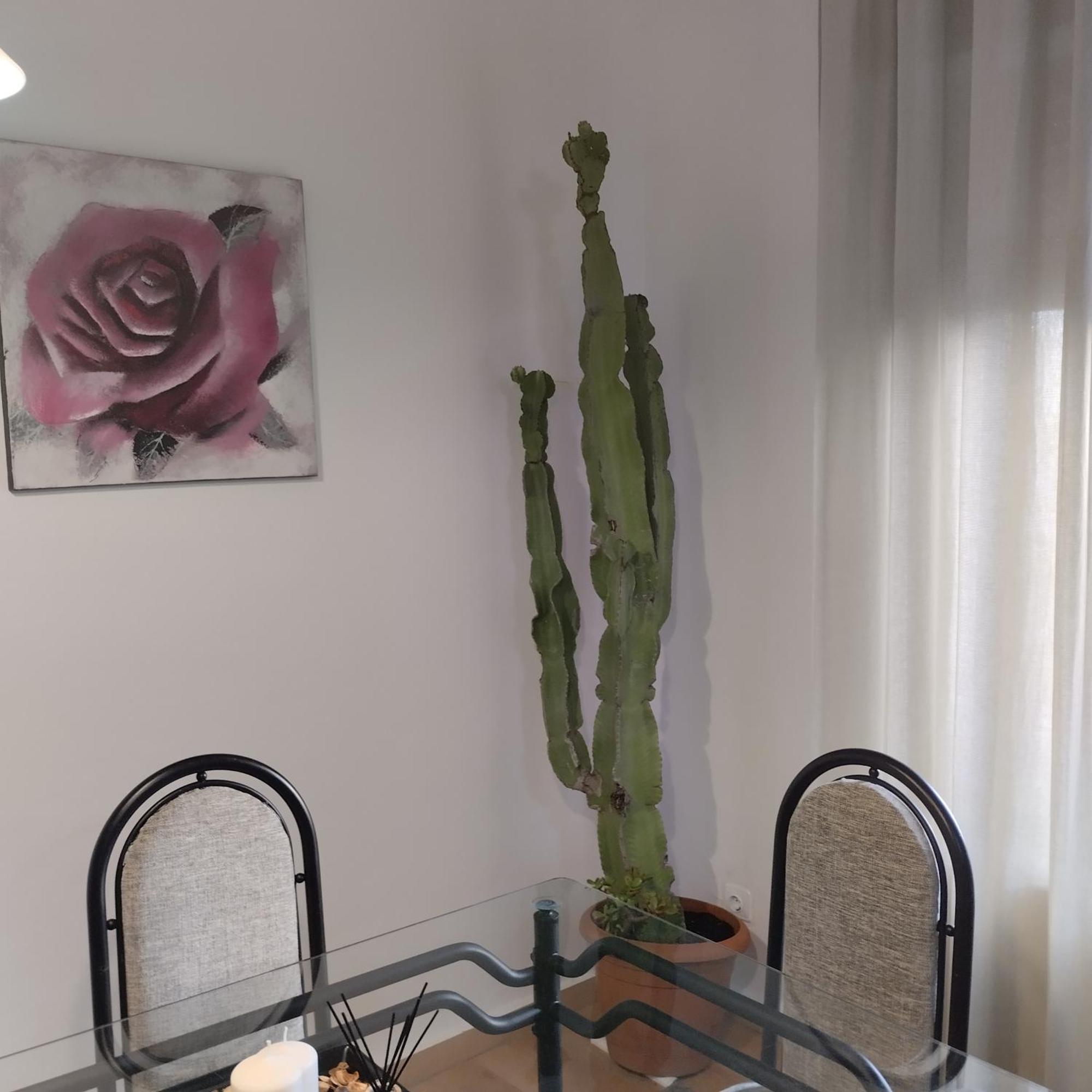Apartamento Esperanza De La Yedra Jerez de la Frontera Extérieur photo